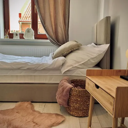 Krasicki Apartment *