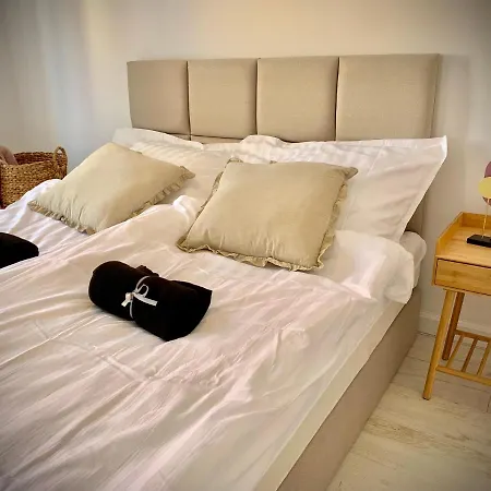 Apartment Krasicki *